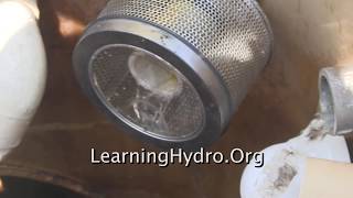 A Gift from a Chinese actress -- I Attempted To Make A Hydroponic Filter