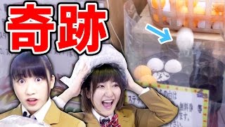 【クレーンゲーム】運ゲーのたこ焼きキャッチャーで奇跡の神プレイ！