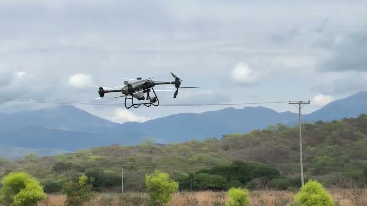 Salta: La Producción Tabacalera Presenta un Excelente Estado Sanitario pese al Exceso de Lluvias