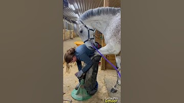 𝙃𝙚𝙡𝙥 𝙈𝙚 𝙄 𝘾𝙖𝙣