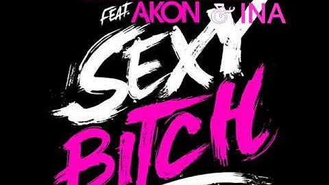 David Guetta Ft. Akon & Ina - Sexy Bitch (mix)