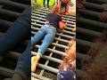Heartwarming Animal Rescues That Will Make You Cry 😢❤️: Cat, Dog, Bird, Duck & Turtle Saved | Part 3