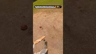 Tag That Cover Drive Lover Batsman..🙋🥰🏏#goprocricket#cricket#cricketshorts#shorts#offspin#coverdrive