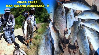 Cuaca panas ikanpun semakin mengganas menyambar umpan‼️trip empang 
