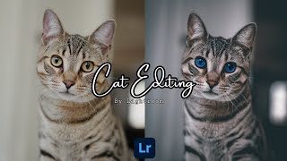 EYE COLOR CHANGING PRESET USING LIGHTROOM | CINEMATIC PRESET | CAT PHOTO EDITING BY @themoodytone screenshot 3