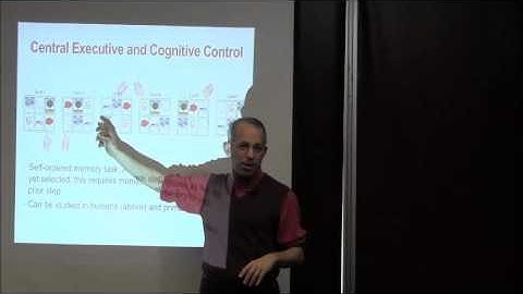 Chapter 9: Working Memory and Cognitive Control