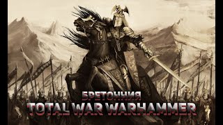 Total War: Warhammer. №11. Бретонния. Прохождение на высоком уровне сложности.