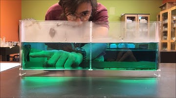 Split Tank Demo action Video