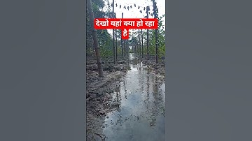 my new vlog 😍 vlog viral kaise kare #vlog #myfirstblog #souravjoshivlogs #rohitvlogs #rrrvlog