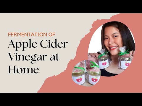 🔥[FREE FOR PROFIT] Playboi Carti x Pi