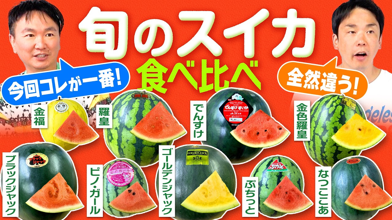【スイカ】かまいたちが旬のスイカを食べ比べてみたらエモい気持ちになった！