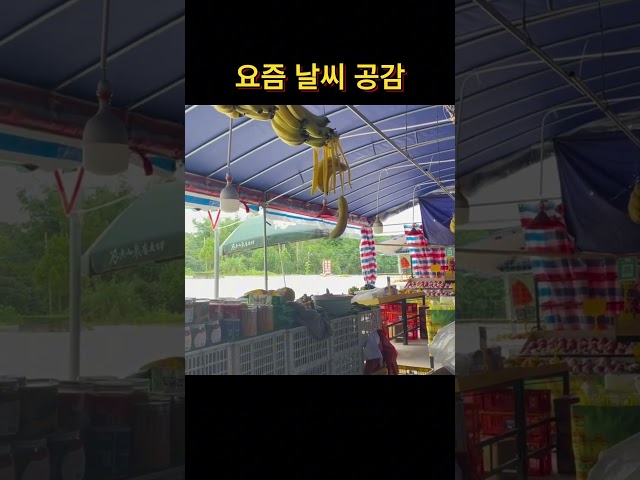 요즘 날씨 공감 #웃긴영상 #웃긴짤 #유머 #썰