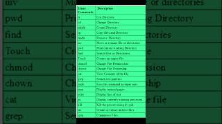 Linux Commands Every Beginner Should Know