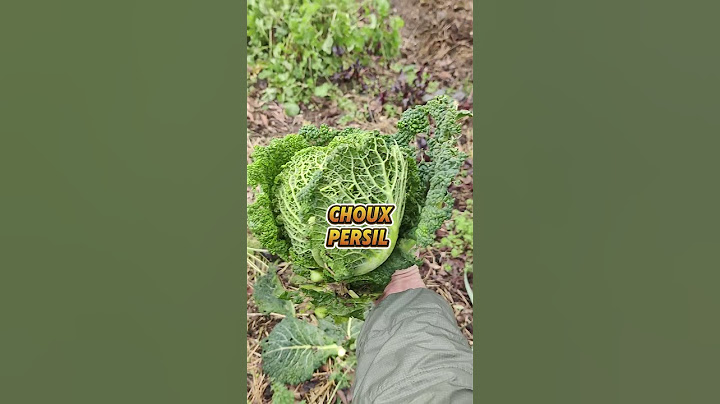 semis et plantation février Rappel
