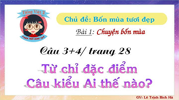 Tiếng Việt 2 | Sách Chân trời sáng tạo | Tuần 21 | Bài 1 | Câu 3+4:Từ chỉ đặc điểm. Câu Ai thế nào
