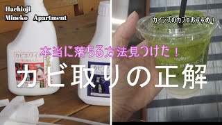 【 暮らしのVlog 】中古分譲マンション暮らし｜閲覧注意！カビを簡単に落とす洗剤みつけた！｜カビホワイト カビキラーより強力｜カインズのカフェ｜日常Vlog｜おすすめレインシューズ　パラディウム