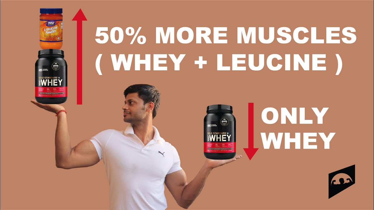 CAN LEUCINE BUILD MUSCLE FASTER || SHOULD YOU ADD EXTRA LEUCINE IN YOUR ...