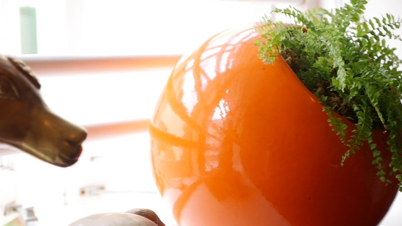 6/373 Glebe Point Road, Glebe Point | Mark Tooth & James Cahill