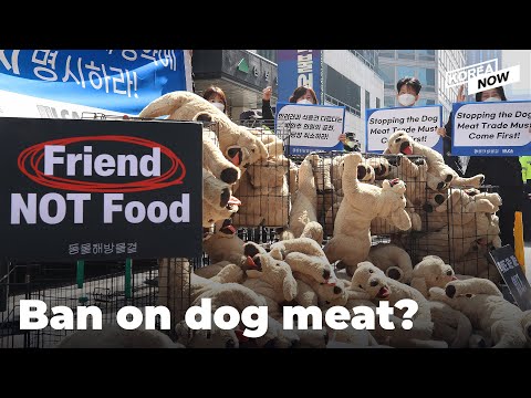 S. Korean government considering banning dog meat consumption