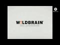 The Magic Store Wildbrain Variants