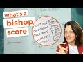 BISHOP SCORE EXPLAINED