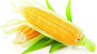 فوائد الذره الصفراء وأهميتها للجسم ??Benefits of maize