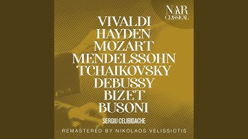 Violin Concerto in D Major, RV 207: I. Allegro