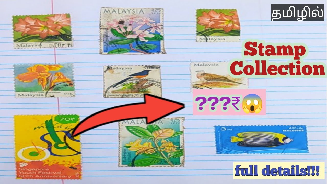 How to make Postage Stamp Collection Album / Stamp Stockbook