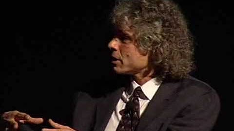 Steven Pinker on Noam Chomsky