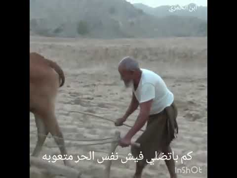 دان ساحلي الله يا دنيا المصاعب والتعب
