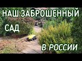 НАШ ЗАБРОШЕННЫЙ САД В РОССИИ