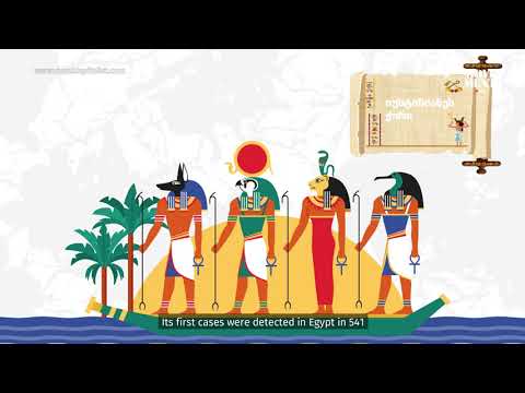 მსოფლიო პანდემიის ისტორია / History of the World Pandemic.