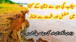 Flood in River Chenab | Land Erosion due to flood |  دریائے چناب میں سیلاب اور زمینی کٹاؤ