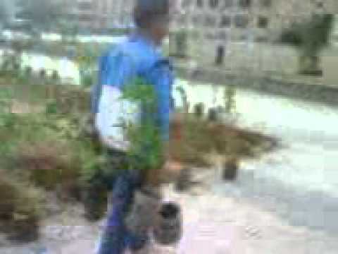  بسكرة التشجير في حي 500 مسكن العالية