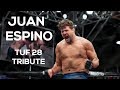 Juan Espino Dieppa: TUF 28 Tribute