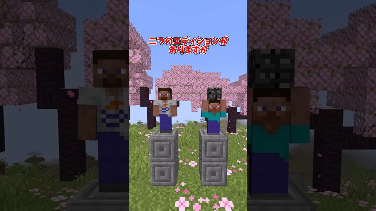 【マイクラ】Java版と統合版どっちの方が優れてる?【ゆっくり実況】