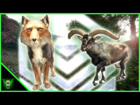 Diamond Tibetan Fox and a Bonus Diamond Blue Sheep! theHunter: Call of the Wild
