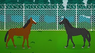 HORSE VS HORSE | ANIMATION