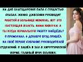 папа хвастался, что жених моей дочери — администратор в больнице. а я — хирург, который контролирует