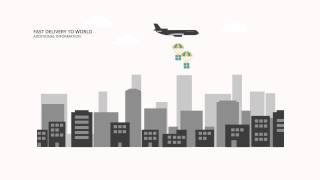 Panda - Corporate Typography & Infographics Pack 38 scenes