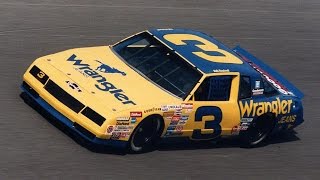 Inside Access with Miss Sprint Cup: Favorite paint schemes