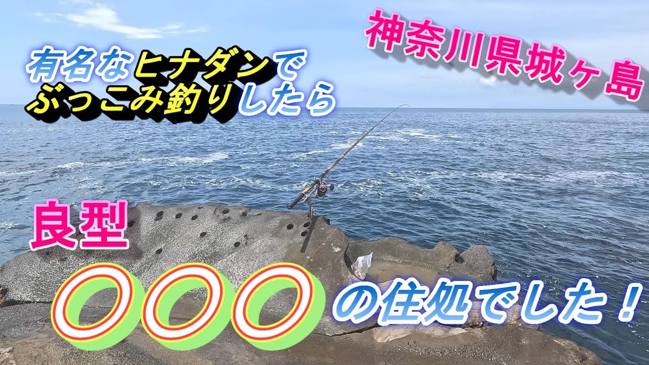 神奈川県城ヶ島のヒナダン！サバの切り身を付けてぶっこみ釣りしたら、良型の〇〇〇の住処でした！