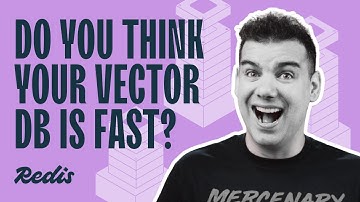 Is Your Vector Database Really Fast?