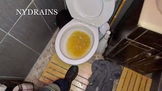 Clogged Drain #196