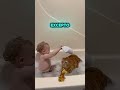 ESTE GATO SE BAÑABA CON SU DUEÑO!! 😲#shorts