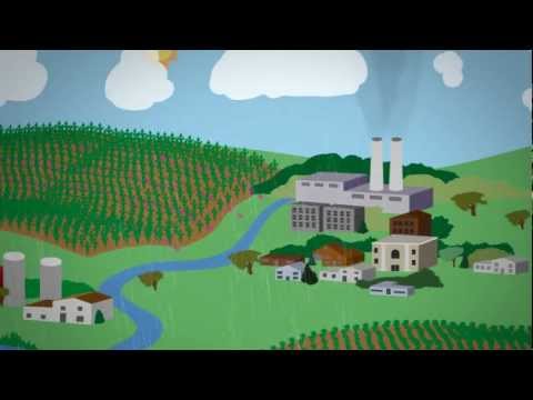We All Live in a Watershed Music Video