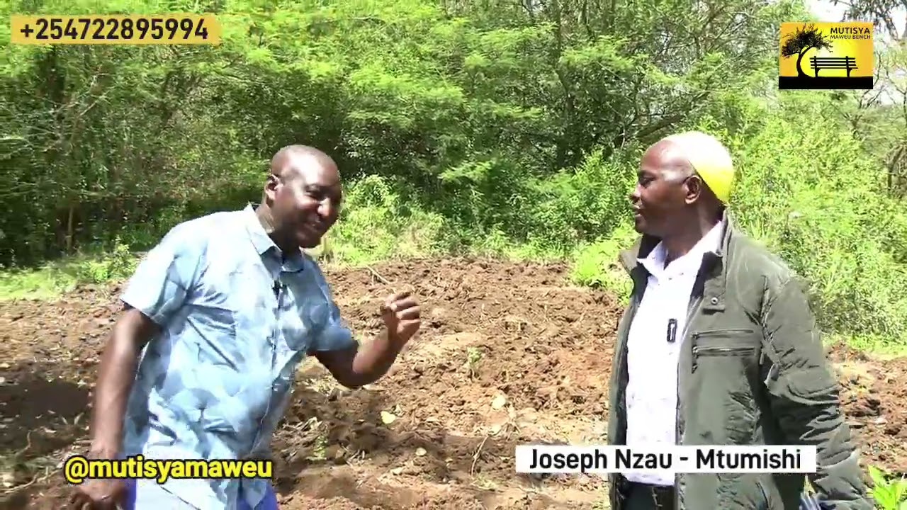 HOW MTUMISHI BUILT 7 DAMS USING CEMENT AND STONES TO IRRIGATE 20 ACRES OF LAND!!