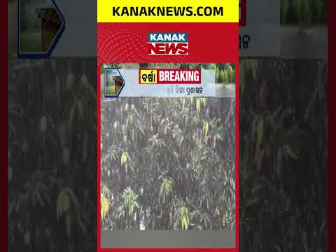 ସ୍କୁଲ୍ ବନ୍ଦ ଘୋଷଣା, Kalahandi Heavy Rain | Schools Closed as Weather Warning Intensifies