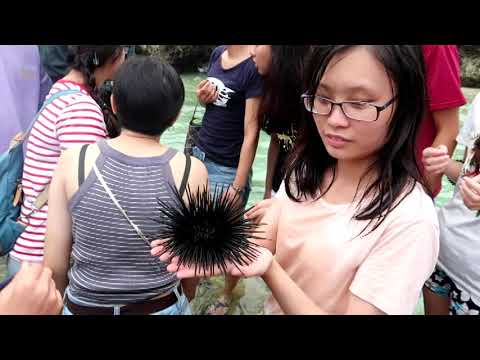 青年團契2016~2017回顧