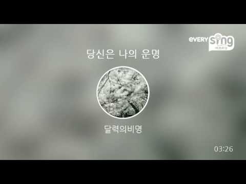 [everysing] 당신은 나의 운명